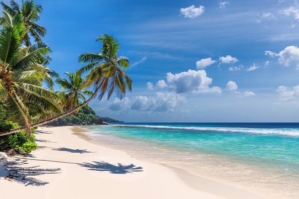 Zanzibar Essentiel 5* Superieur 6 Jours 5 Nuits